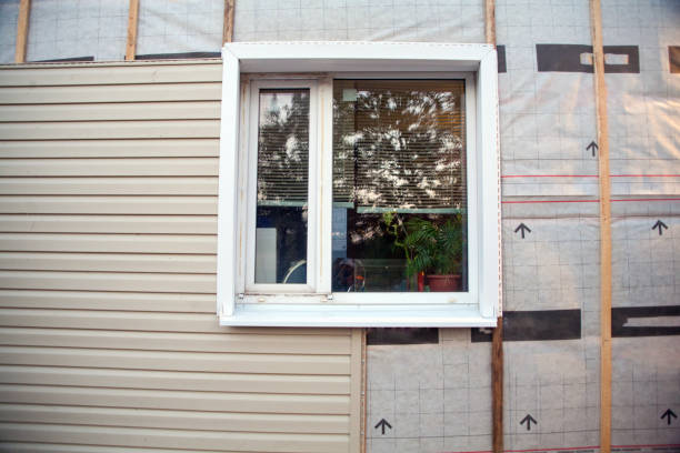 Best Siding Repair  in Cavalier, ND