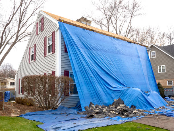 Best Fiber Cement Siding Installation  in Cavalier, ND