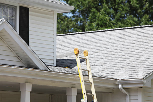 Best Composite Siding  in Cavalier, ND